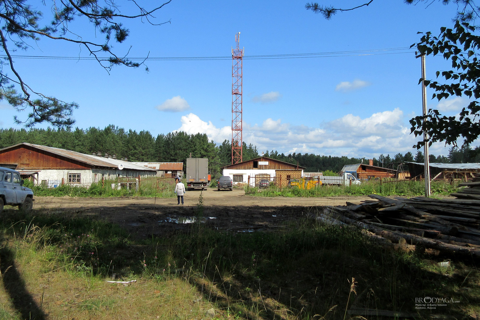 Kashino (Кашино)
